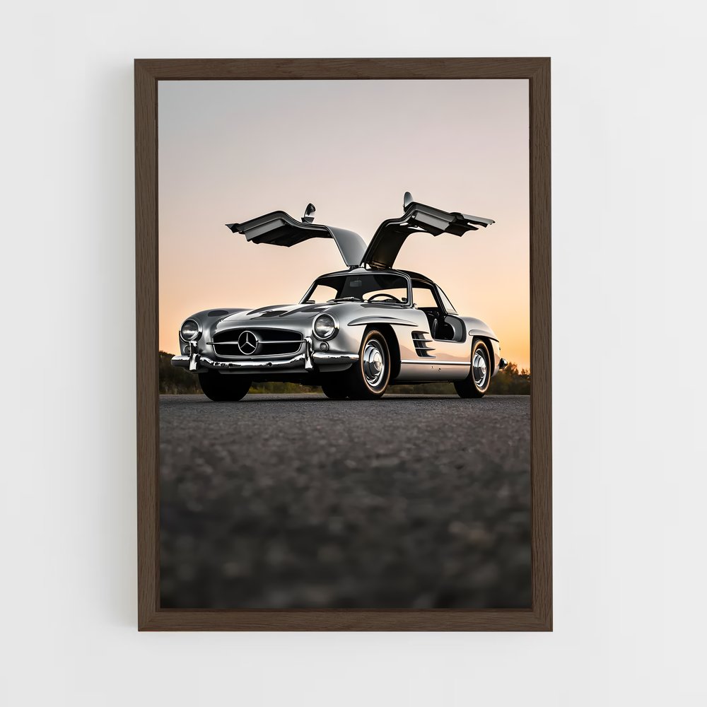 Poster L'Aile de la Mercedes (vue 5)